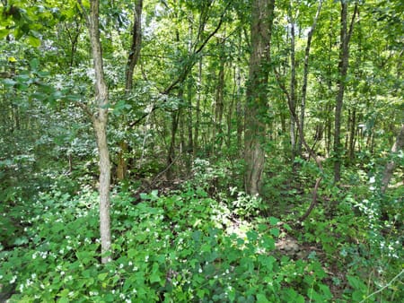 Murfreesboro, TN 37129 Rutherford County