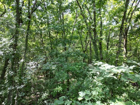 Murfreesboro, TN 37129 Rutherford County
