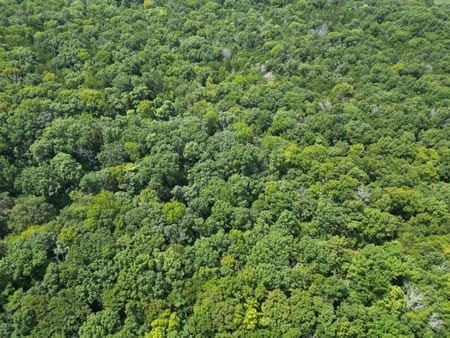 Murfreesboro, TN 37129 Rutherford County