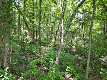 Murfreesboro, TN 37129 Rutherford County