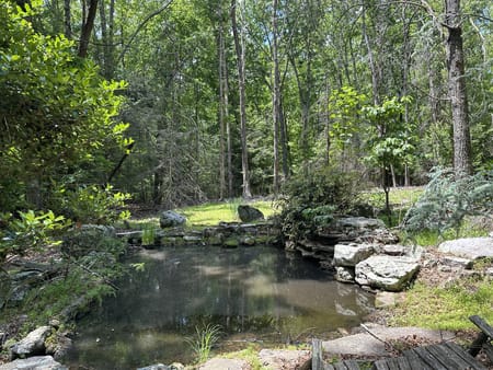Monteagle, TN 37356 Marion County
