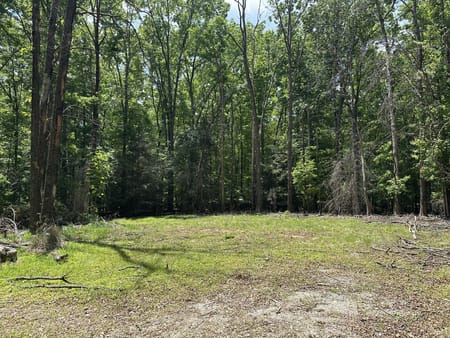 Monteagle, TN 37356 Marion County