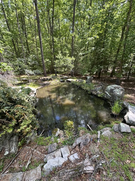 Monteagle, TN 37356 Marion County