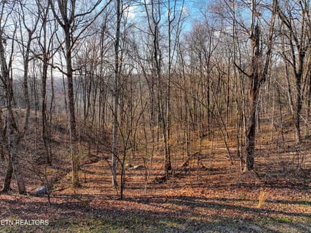 Monterey, TN 38574 Cumberland County