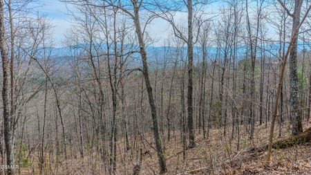 Sevierville, TN 37876 Sevier County