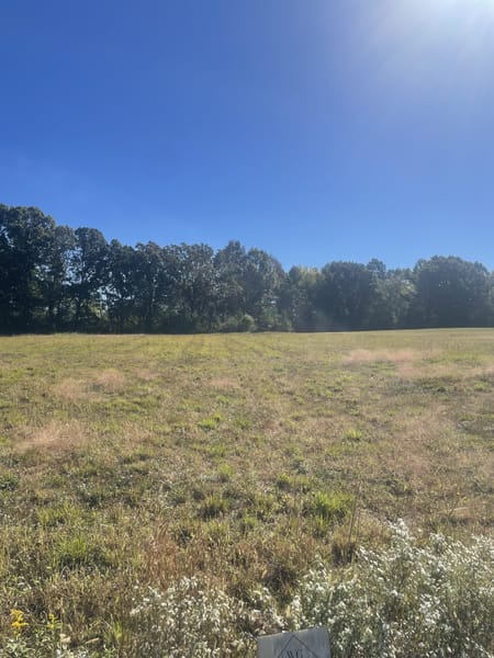 Leoma, TN 38468 Lawrence County
