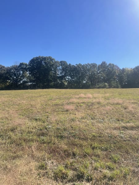 Leoma, TN 38468 Lawrence County