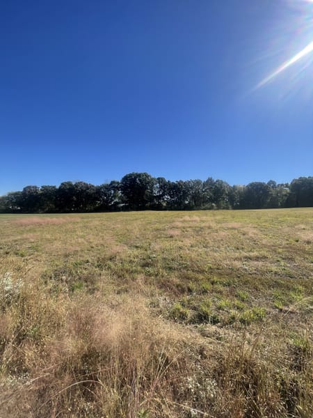 Leoma, TN 38468 Lawrence County