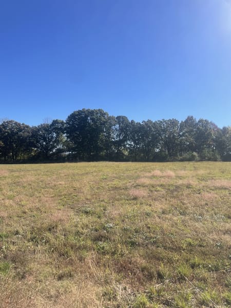 Leoma, TN 38468 Lawrence County