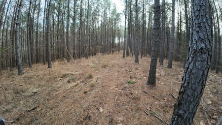 Linden, TN 37096 Perry County