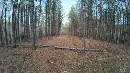 Linden, TN 37096 Perry County