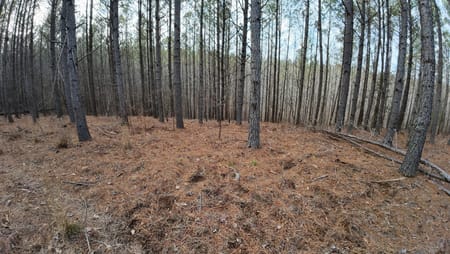 Linden, TN 37096 Perry County