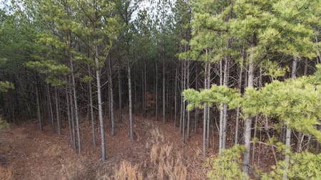 Linden, TN 37096 Perry County