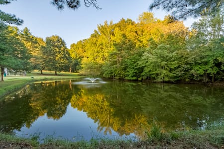 Leoma, TN 38468 Lawrence County
