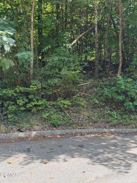 Pigeon Forge, TN 37876 Sevier County