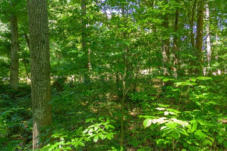 Santa Fe, TN 38482 Maury County