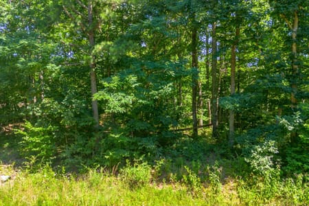 Santa Fe, TN 38482 Maury County