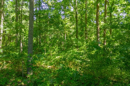 Santa Fe, TN 38482 Maury County