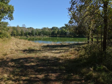 Nolensville, TN 37135 Williamson County