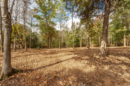 Westmoreland, TN 37186 Sumner County