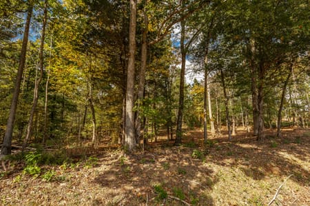 Westmoreland, TN 37186 Sumner County