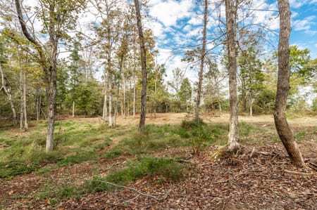 Westmoreland, TN 37186 Sumner County