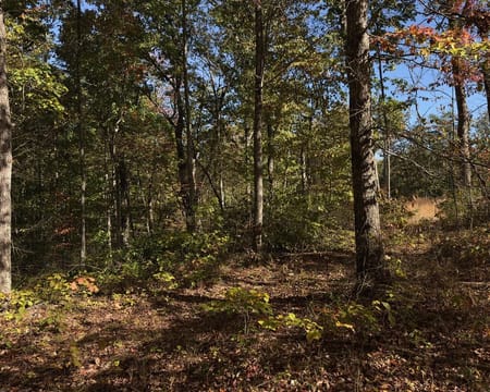Monterey, TN 38574 Putnam County