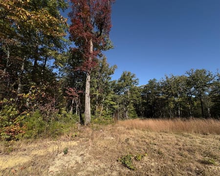 Monterey, TN 38574 Putnam County