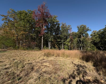 Monterey, TN 38574 Putnam County