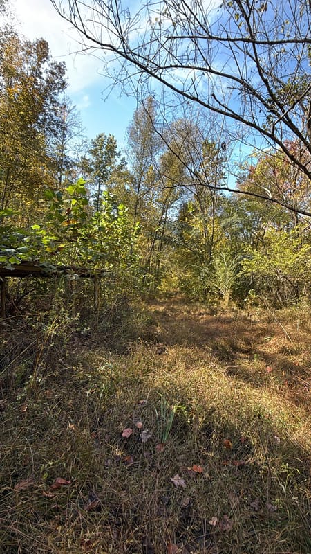 Pleasantville, TN 37033 Hickman County