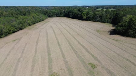 Belvidere, TN 37306 Franklin County