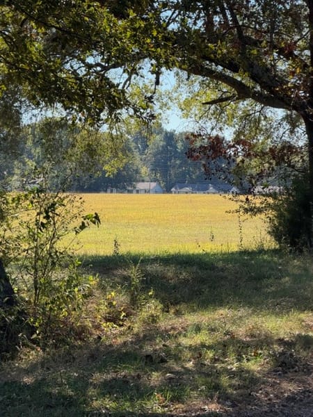 Decherd, TN 37324 Franklin County
