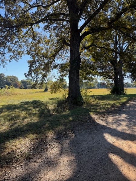 Decherd, TN 37324 Franklin County