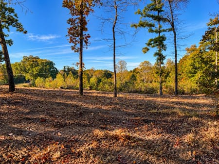 Sparta, TN 38583 DeKalb County