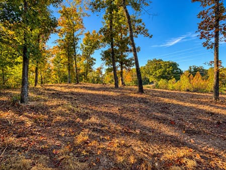 Sparta, TN 38583 DeKalb County