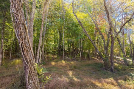 Sale Creek, TN 37373 Hamilton County