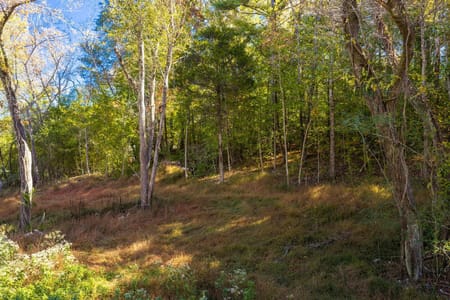 Sale Creek, TN 37373 Hamilton County