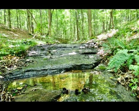 Lawrenceburg, TN 38464 Wayne County