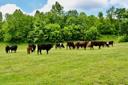 Lawrenceburg, TN 38464 Wayne County