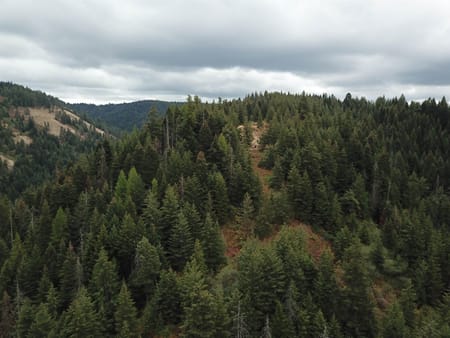 WA