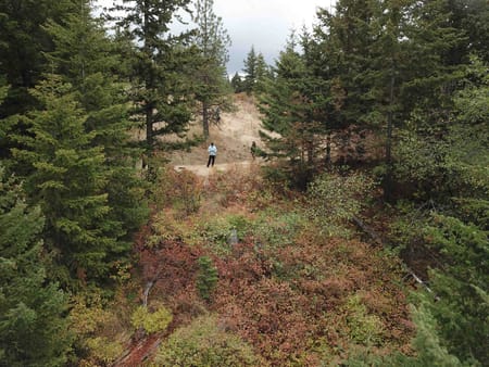 WA