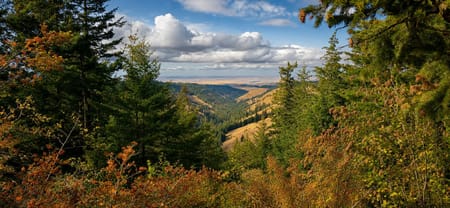 WA