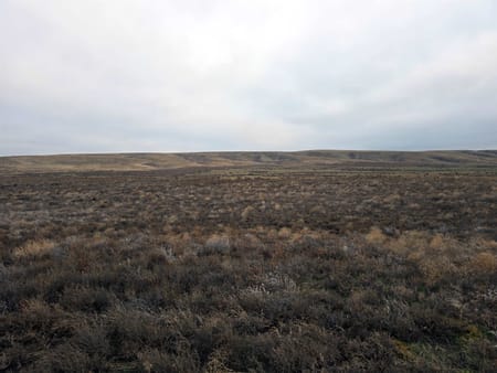 WA Franklin County