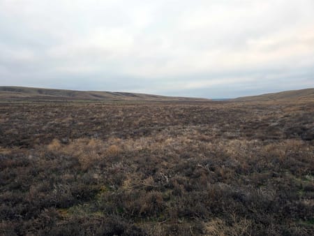 WA Franklin County