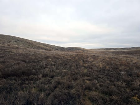 WA Franklin County