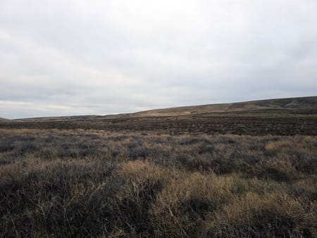 WA Franklin County