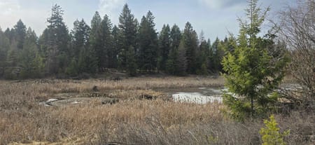 WA Okanogan County