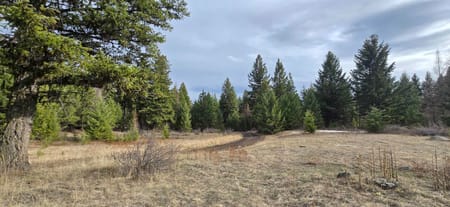 WA Okanogan County