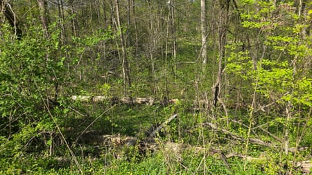 Somerset, KY 42501 Pulaski County