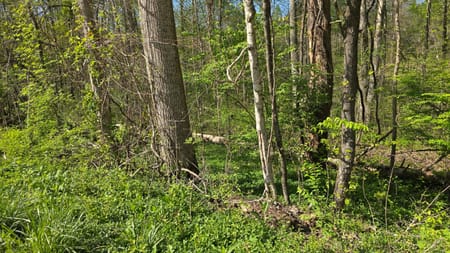 Somerset, KY 42501 Pulaski County